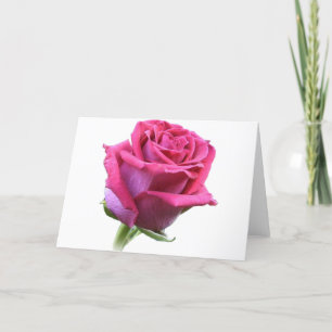 Carte Bud rose rose