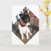 Carte Buddy - Rat Terrier (Fleur jaune)
