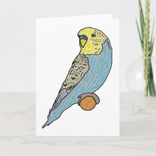 Carte Budgie