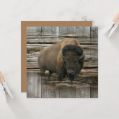 Carte Buffalo (Devant/Arrière en situation)