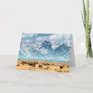 Carte Buffalo au-dessous des montagnes grandes de Teton