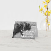 CARTE BUFFALO CHANTEUR ***ANNIVERSAIRE HEUREUX*** (Fleur jaune)