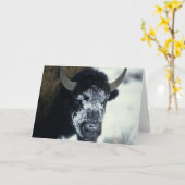 Carte Buffle couvert de neige (Fleur jaune)