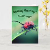 Carte Bug Avec Attitude Mignonne Anniversaire (Fleur jaune)