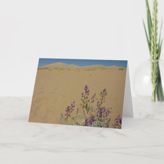 Carte Buisson d'indigo du Mojave et dunes de Kelso (Devant)
