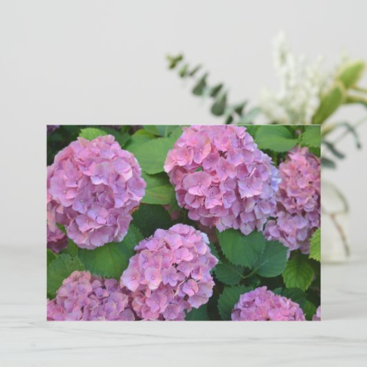 Carte buisson Hortensia rose (Debout devant)