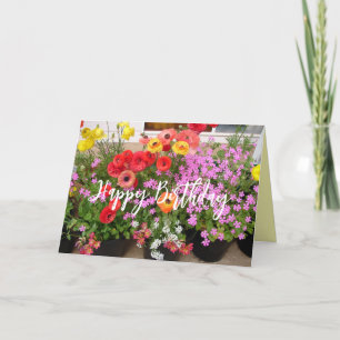 Carte Bulbes de printemps Rannunculus fleurs fleurs