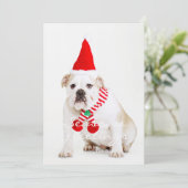 Carte Bull Dog Elf (Debout devant)
