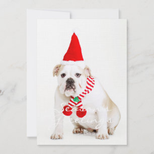 Carte Bull Dog Elf