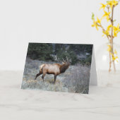 Carte Bull Elk (Fleur jaune)