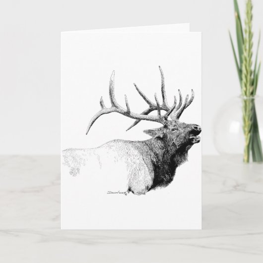Carte Bull Elk (Devant)