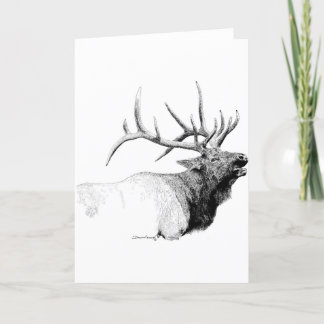 Carte Bull Elk
