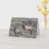 Carte Bull Elk | Parc national de Yellowstone, Wyoming (Fleur jaune)