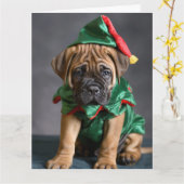 Carte Bull Mastiff Elf Puppy Christmas Card (Fleur jaune)
