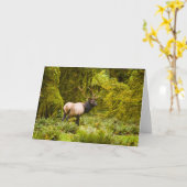 Carte Bull Roosevelt Elk Debout Dans Le Pré (Fleur jaune)