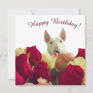 Carte Bull terrier avec rose - Joyeux anniversaire!