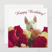 Carte Bull terrier avec rose - Joyeux anniversaire! (Devant / Derrière)