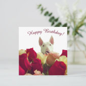 Carte Bull terrier avec rose - Joyeux anniversaire! (Debout devant)