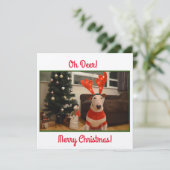 Carte Bull Terrier Reindeer Noël drôle (Debout devant)