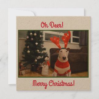 Carte Bull Terrier Reindeer Noël drôle