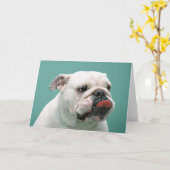 Carte Bulldog (Fleur jaune)
