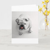 Carte bulldog dans bw (Fleur jaune)