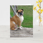 Carte Bulldog, Pensez À Vous (Fleur jaune)