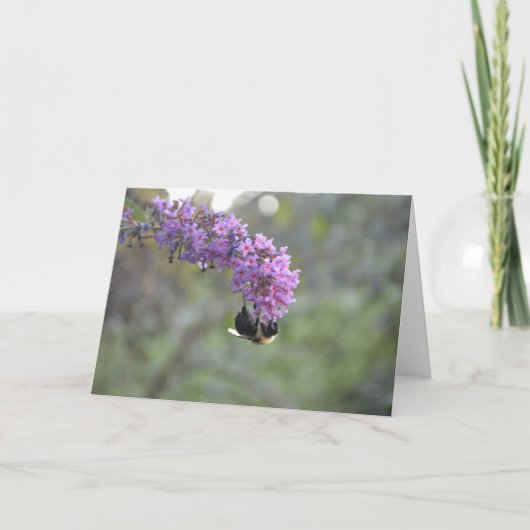 Carte Bumble Bee (Devant)