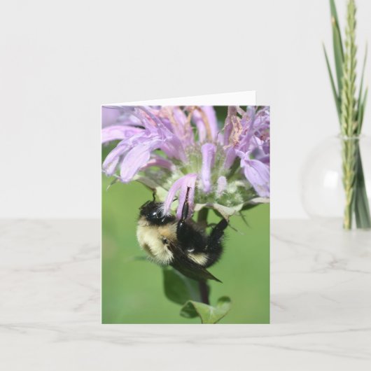 Carte Bumble Bee On Bee Balm Flower Photography Note (Devant)