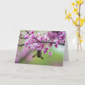 Carte Bumblebee sur les fleurs de Redbud (Fleur jaune)