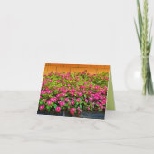 Carte Bunches de fleurs roses - Vierges (Devant)