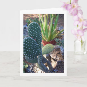 Carte Bunny Ears Cactus et Aloe Vera Plante