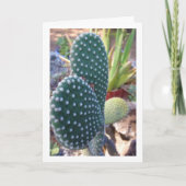 Carte Bunny Ears Cactus Plante (Devant)
