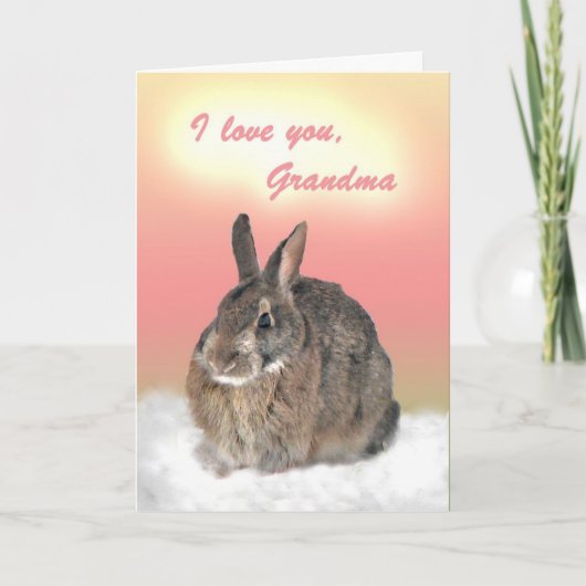 Carte Bunny pour la fête des mères de grand-mère (Devant)