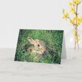 Carte Bunny Toutes Les Occasions (Fleur jaune)