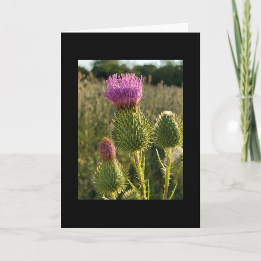 Carte Burdock Thistle (Devant)
