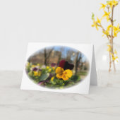 Carte Burgundy yellow pany (Fleur jaune)