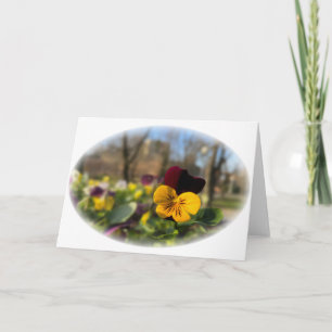 Carte Burgundy yellow pany