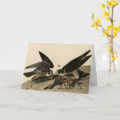 Carte Buse à pattes géantes des oiseaux d'Amérique d'Aud (Fleur jaune)