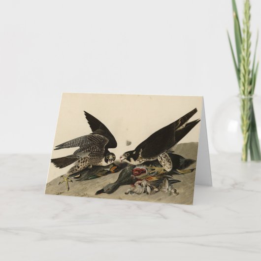 Carte Buse à pattes géantes des oiseaux d'Amérique d'Aud (Devant)