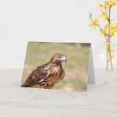 Carte Buse à queue rouge dans la vallée de l'Hudson (Fleur jaune)