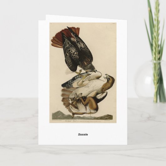 Carte Buse à queue rouge des oiseaux d'Amérique d'Audubo (Dos)