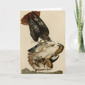 Carte Buse à queue rouge des oiseaux d'Amérique d'Audubo (Devant)