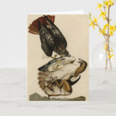 Carte Buse à queue rouge des oiseaux d'Amérique d'Audubo (Fleur jaune)