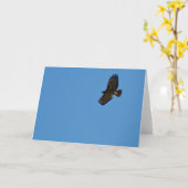 Carte Buse à queue rouge en vol (Fleur jaune)