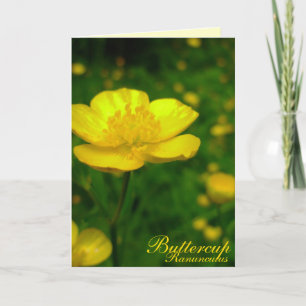 Carte Buttercup Fleurs sauvages Cartes Customisées
