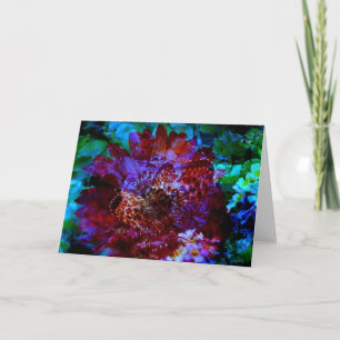 Carte Butterfly