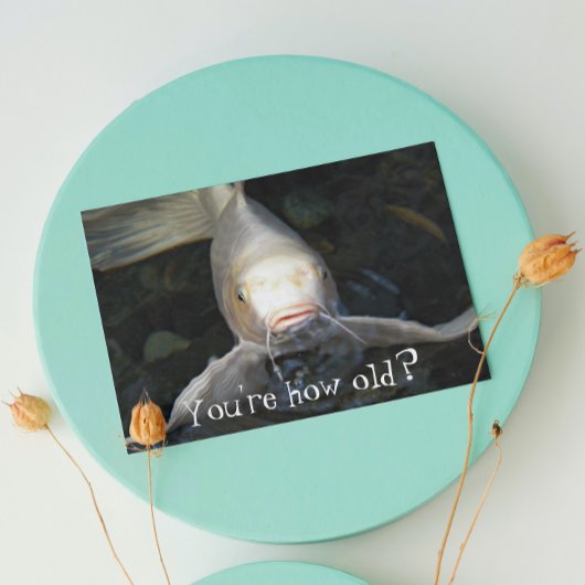 Carte Butterfly Koi Photo Funny Birthday
