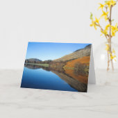 Carte Buttermere (Fleur jaune)