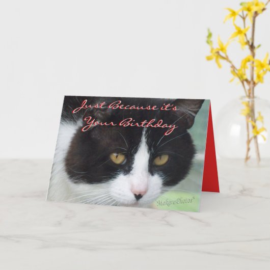 Carte BW&MouseBday-personnaliser (Fleur jaune)